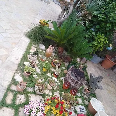 Vico Luxury Appartement *